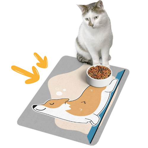 Pet Mat