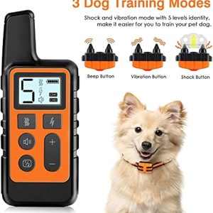 Three Dog Training Modes