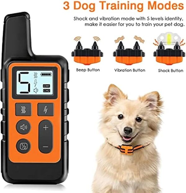 Three Dog Training Modes